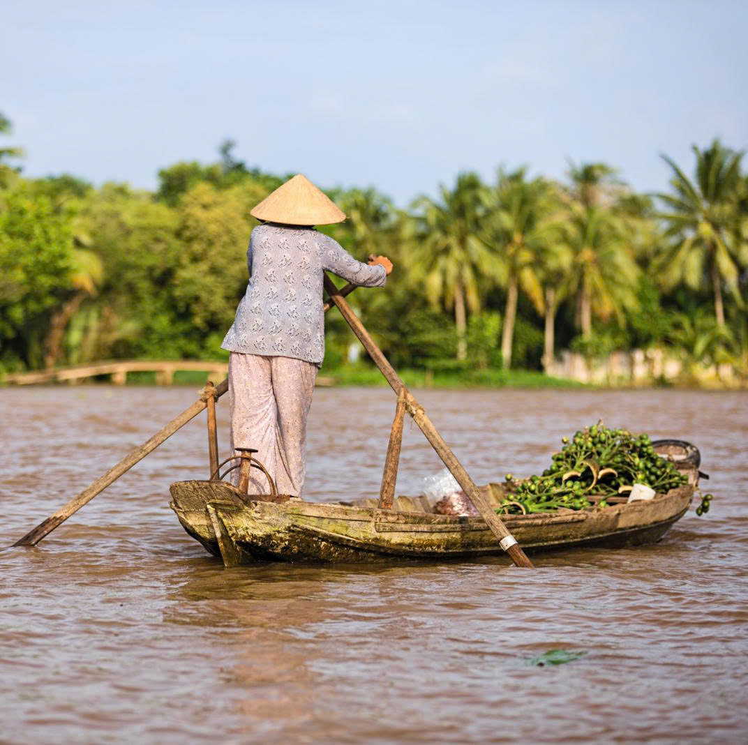 CHI Collection water hyacinth basket collection