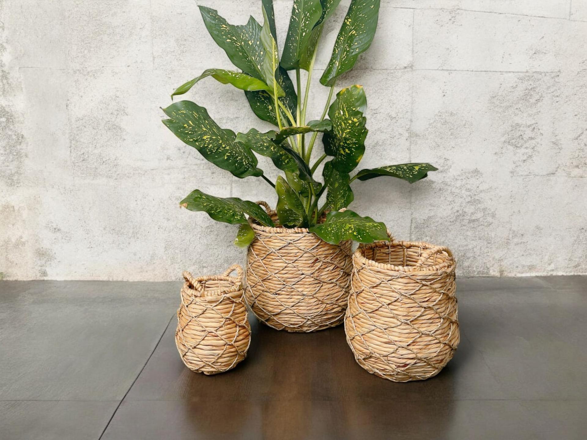 CHI Collection Vietnam Natural Handicraft