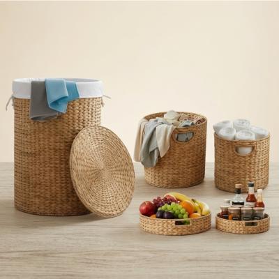 Hyacinth Mix Set of 5