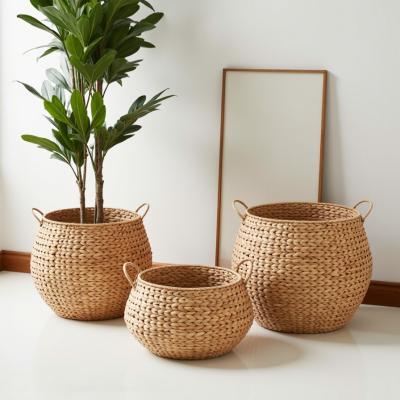 Belly‑Shape Water Hyacinth Basket Set of 3