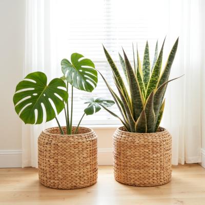 Low Water Hyacinth Planter Basket