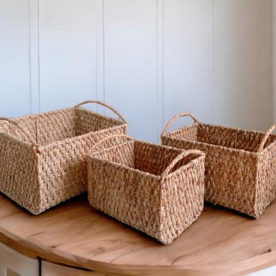 Hyacinth Baskets